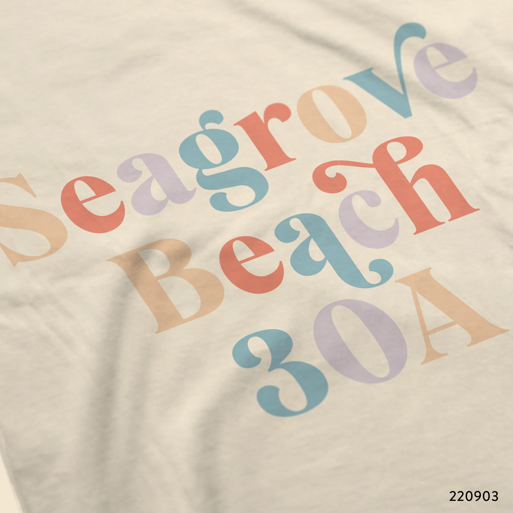 Seagrove Beach T-Shirt Design